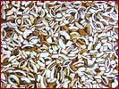 Halbfertigteile f�r die Verarbeitung u.a. f�r Colliers und Anh�nger.