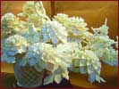 Bl�ten im Detail